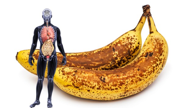 If You Eat 2 Bananas Per Day For A Month Non Stop, This Is What Happens To Your Body!