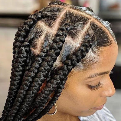 Natural Braids Hairstyles