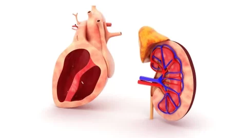 3 Foods You Should Consume Regularly To Keep Your Heart And Kidney Healthy