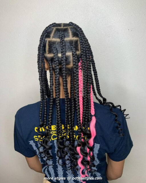 How-to, Tutorials, and Styles Inspired by Coi Leray's Braids (14)