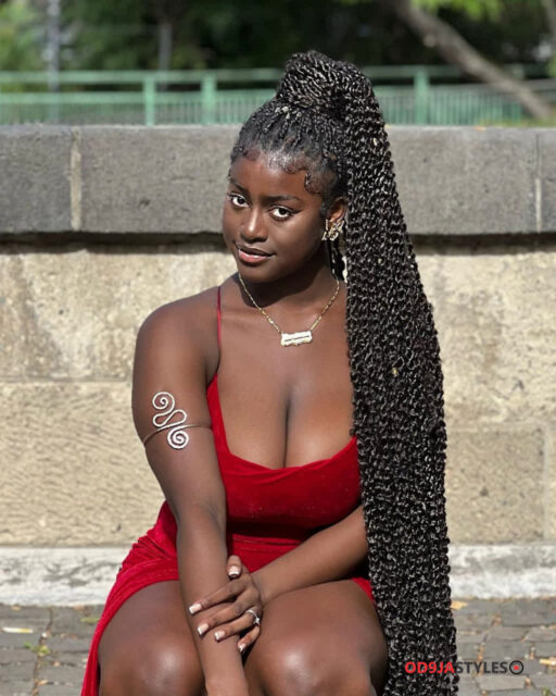 Passion Twists Hairstyles