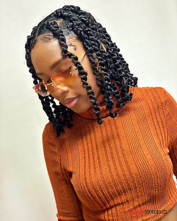 Passion Twists Hairstyles