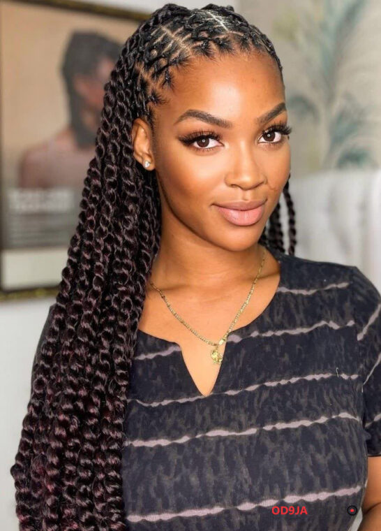 Passion Twists Hairstyles