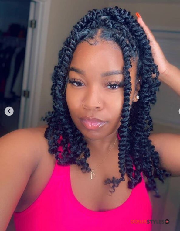 Passion Twists Hairstyles