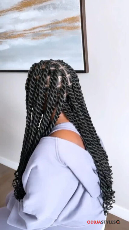 Passion Twists Hairstyles