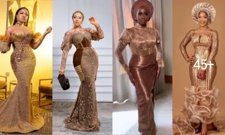 Stylish Brown Lace AsoEbi Dresses for Special Occasions