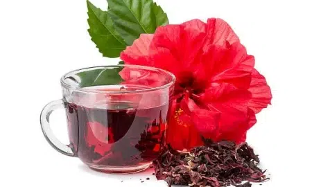 What Are The Effects Of Zobo Drink On Your Kidney Health?