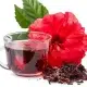 What Are The Effects Of Zobo Drink On Your Kidney Health?