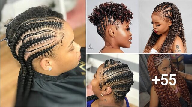 Top 55 Braided Hairstyles for Natural Hair That Elevate Your Look