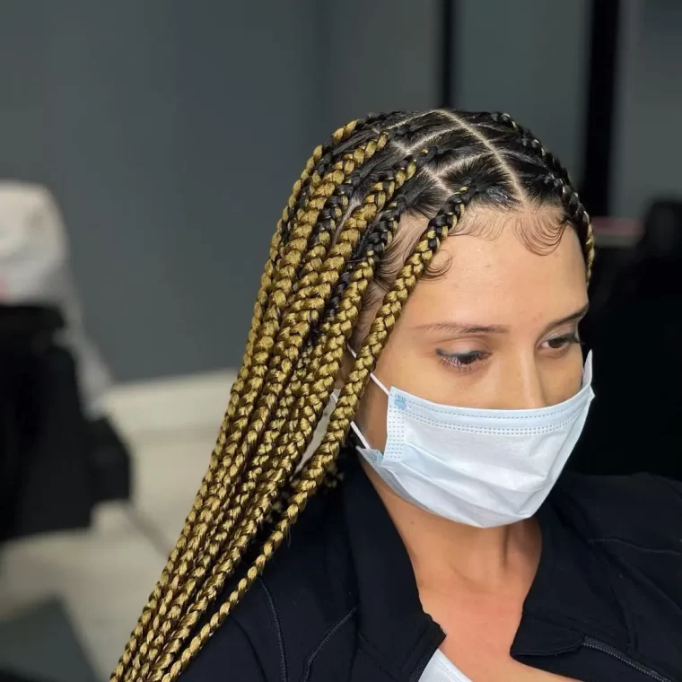 Honey Blonde & Black Box Braids