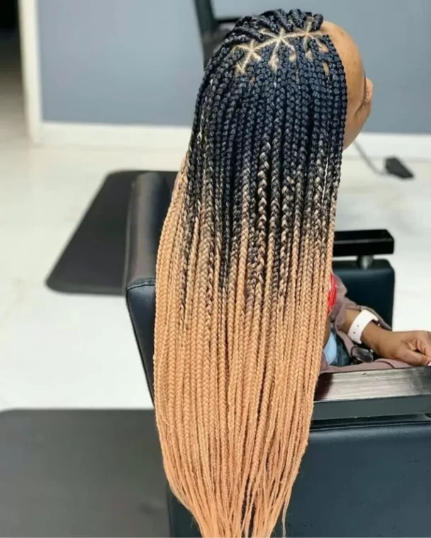 Two-Tone Ombre Box Braids