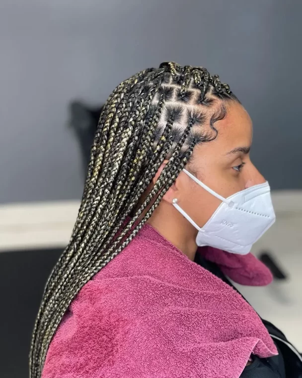 Two-Tone Defined Part Box Braids