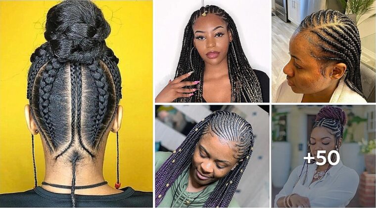 50 Beautifully Black Braids Hairstyles Pictures