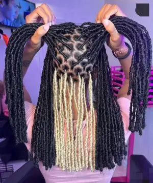 Criss-Cross Locs with Blonde Highlights