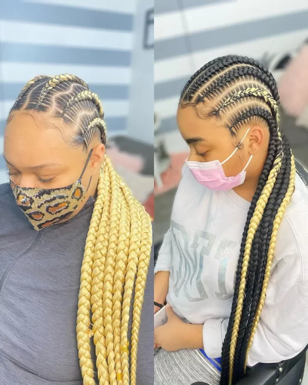 Goddess Twist Braids