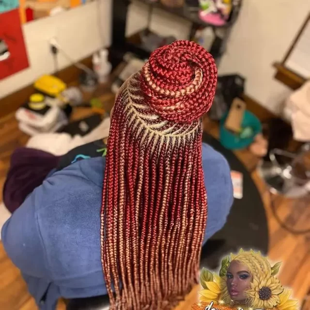 Swirl Bun Braided Elegance