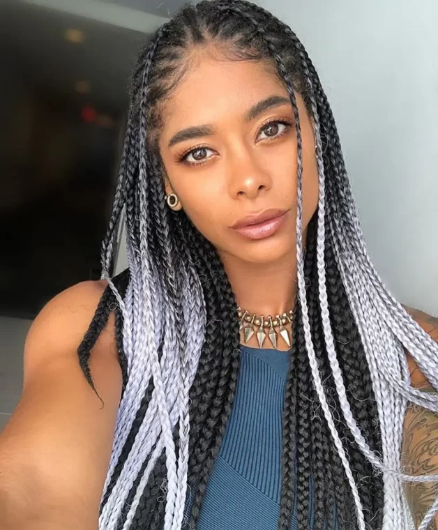 Black and Silver Ombre Box Braids